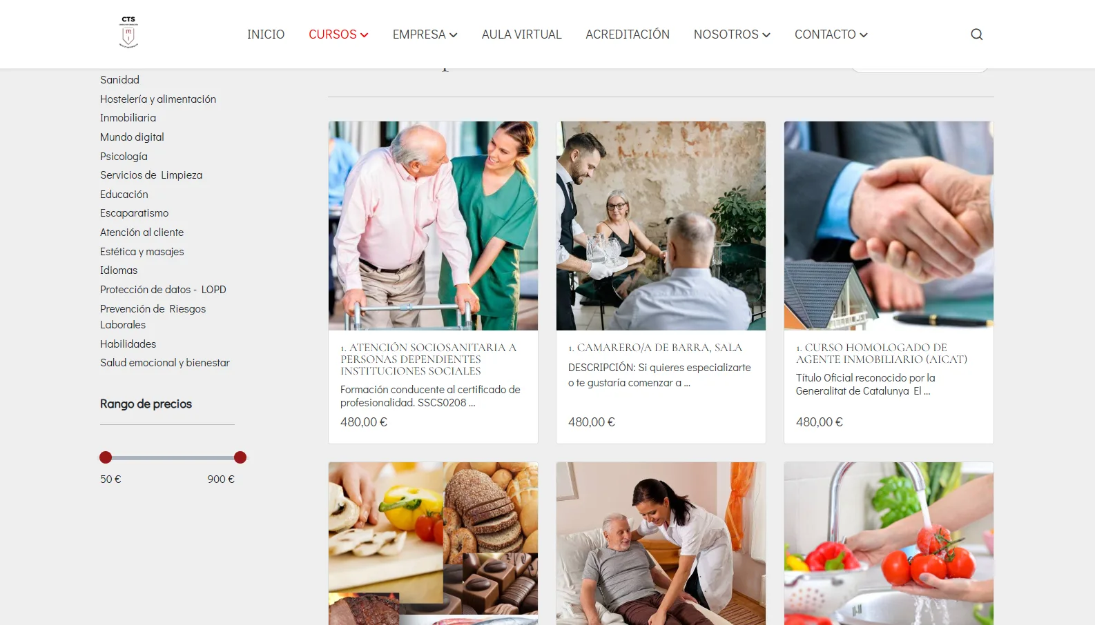 Catálogo antiguo de CTS Formación: listado de categorías a la izquierda, filtro de precio y cursos presentados como productos con títulos numerados